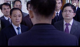 罪域电视剧,暗影重生的复仇之路