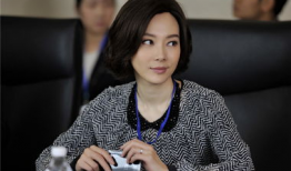 陈数主演的电视剧,电视剧中的经典角色回顾